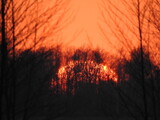 Fototapeta Na sufit - zachód słońca