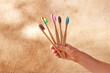 © exclusive-design - Crop woman with collection of colorful bamboo toothbrushes