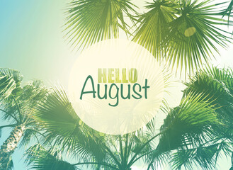 Wall Mural - Hello August. Beautiful view of palm trees on sunny day