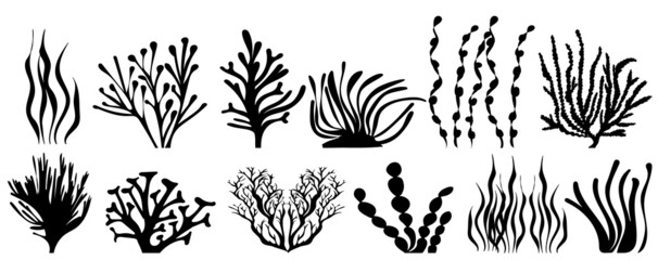 Wall Mural - algae set of silhouette, on a white background, isolated, vector