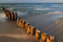 Wooden Breakwater In The Waters Of The Baltic Sea. The Sunset.