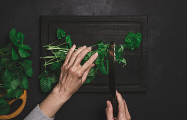 Wall Mural - Woman cutting green mint leaves on brown wooden cutting board, top view