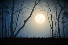 Forest On Moonlight Night. Bare Tree Silhouettes. Full Moon And Stars