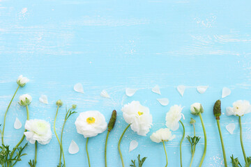 Wall Mural - Top view image of white flowers composition over wooden blue pastel background