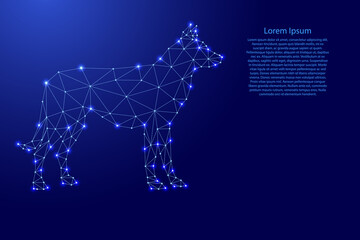 Sticker - Dog from futuristic polygonal blue lines and glowing stars for banner, poster, greeting card. Vector illustration.