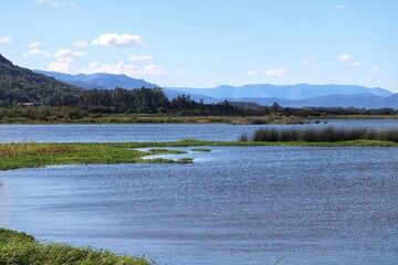 Wall Mural - Photograph of Lagoa do Marcelino in Osório in Rio Grande do Sul, Brazil.