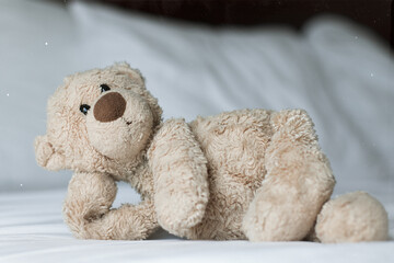 teddy bear toy