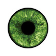 Green Eye - Vector Illustration