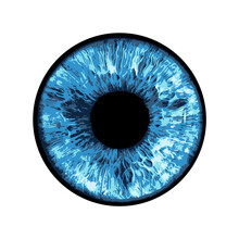 Blue Eye - Vector Illustration