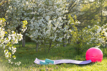 Fitness equipment on the green grass on a sunny day. yoga blocks on a yoga mat. Outdoors fitness concept.