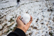 Snowball in hand