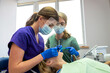 © RomanR - Pretty female patient sitting in armchair while doctor with assistant examining her teeth