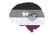Brain with asexual flag. 3D rendering