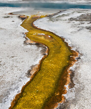 A Stream Rich In Thermophiles Meanders Through Yellowstone Hot S