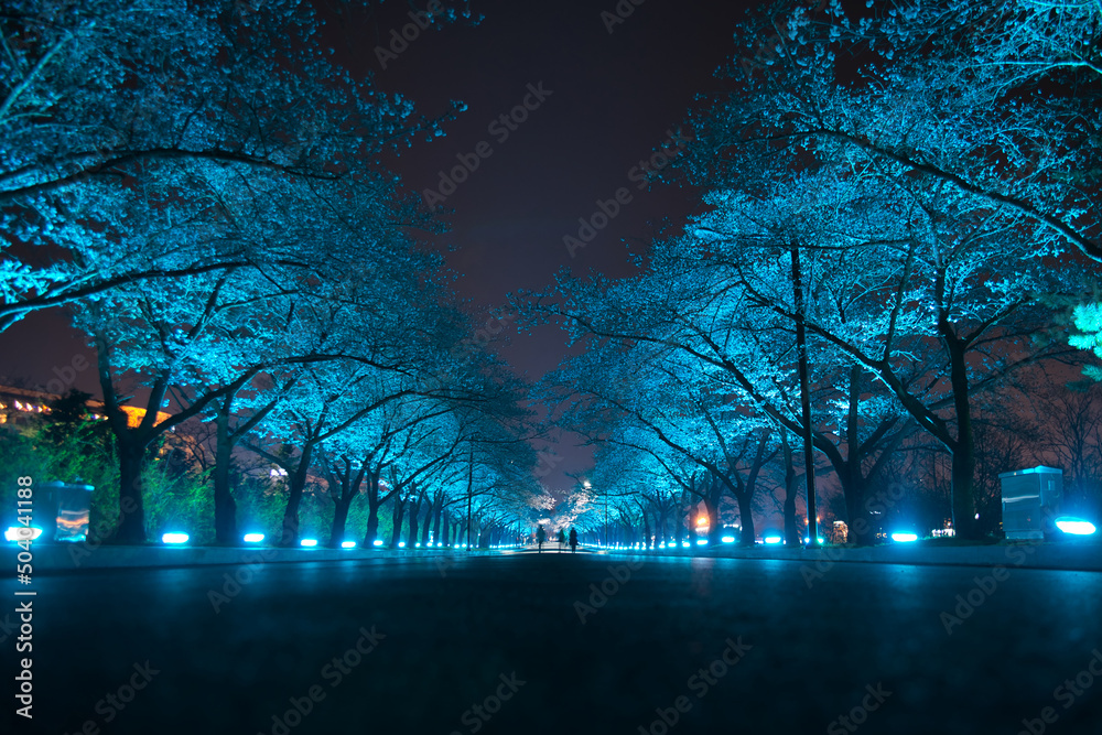 Alley of trees at night in a park in Gyeongju, South Korea, with blue-colored illumination and blurred silhouettes of people walking in the far distance. 