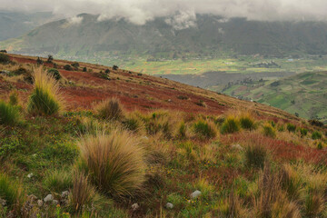 Andean landscape in Apurimac, Peru