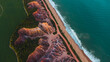 Falésias Praia Gunga Alagoas Paisagem Litoral Mar Pôr do Sol Oceano Areia Geologia Geografia Zona da Mata