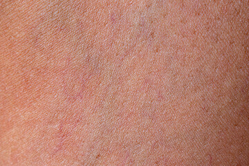 close-up abstract close-up abstract pink tan human skin texture