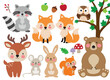 Cute woodland forest animals vector illustration including a bear, foxes, deer, raccoon, rabbit, rat, squirrel, and owl.