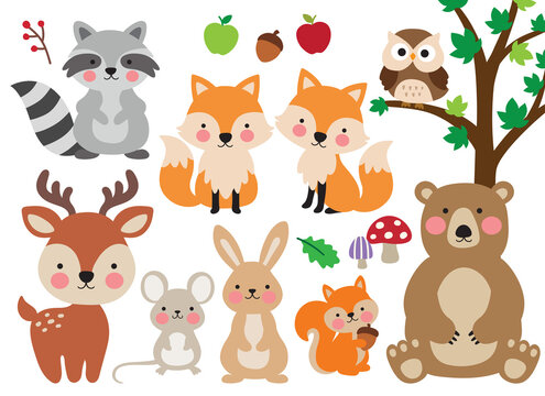 Fototapete - Cute woodland forest animals vector illustration including a bear, foxes, deer, raccoon, rabbit, rat, squirrel, and owl.
