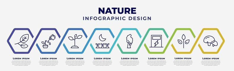 Poster - vector infographic design template with icons and 8 options or steps. infographic for nature concept. included branches with leaves, watering plant, plants growing, cultivation, black birch tree,