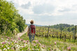 Woman with brown hair, gray t-shirt, jeans, straw hat and red backpack hiking in the nature, beautiful flowers and a wine field next to her, rear view, Auerbach, Bensheim, Germany