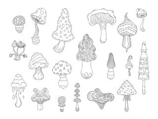 Wall Mural - Psychedelic mushrooms. Abstract hand drawn coloring amanita and hipppie fungi, stylized linear magic mushrooms graphic. Vector isolated set