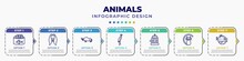 Infographic Template With Icons And 7 Options Or Steps. Infographic For Animals Concept. Included Caviar, Afghan Hound, Coelodonta, Heron, Cage, Black Cat, Blowfish Editable Vector.