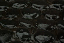 Wet Black Cobblestone Pavement Of Smooth Volcanic Stones, Texture, Top View, Closeup, Background.