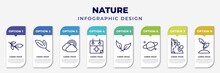 Infographic Template With Icons And 8 Options Or Steps. Infographic For Nature Concept. Included Willow Leaf, Lanceolate, Rainbow Behind A Cloud, Treatments, Falcate, Planet With Satellite, Mountain
