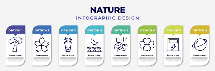 Poster - infographic template with icons and 8 options or steps. infographic for nature concept. included american beech tree, japanese flower, flower bouquet, cultivation, leaf and drop, four leaf clover,