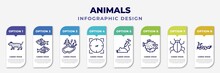 Infographic Template With Icons And 8 Options Or Steps. Infographic For Animals Concept. Included Leopard, Japan Koi Fish, Pond, Hunted, Animal Testing, Blowfish, App Bug, Japanese Dragon Editable