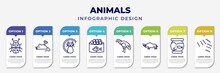 Infographic Template With Icons And 8 Options Or Steps. Infographic For Animals Concept. Included Ladybird, Mouse Toy, Black Cat, Caviar, Condor, Coelodonta, Fishbowl, Flock Of Birds Editable