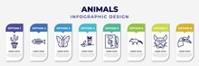 Infographic Template With Icons And 8 Options Or Steps. Infographic For Animals Concept. Included Boho, Fish Bone, Japanese Butterfly, Wise, Fish And Knife, Coati, Japanese Cat Head, Hornbill