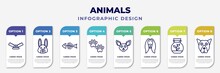 Infographic Template With Icons And 8 Options Or Steps. Infographic For Animals Concept. Included Trap, Animal, Fish Bones, Pawprint, Chihuahua, Afghan Hound, Terrarium, Pit Bull Editable Vector.