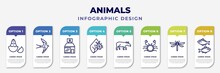 Infographic Template With Icons And 8 Options Or Steps. Infographic For Animals Concept. Included Baby Chicken, Swallow, Pet Shop, Bug On Leaf, Tapir, Crab, Dragon Fly, Two Golden Carps Editable