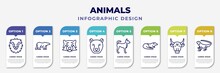 Infographic Template With Icons And 8 Options Or Steps. Infographic For Animals Concept. Included Lion Head, Polar Bear, Red Panda, Cheetah, Puppy, Otter, Bull, Iguana Editable Vector.