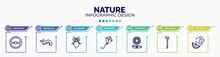 Infographic For Nature Concept. Vector Infographic Template With Icons And 7 Option Or Steps. Included Steering Wheel, Slug, Leaf Insect, Kite, Sunflowers, Axe, Mussel Editable Vector.