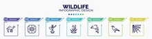 Infographic For Wildlife Concept. Vector Infographic Template With Icons And 7 Option Or Steps. Included Dromedary, Poppy, Hookah, Bulrush, Dolphin, Crow, Cobweb Editable Vector.