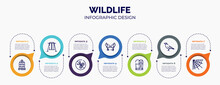Infographic For Wildlife Concept. Vector Infographic Template With Icons And 7 Option Or Steps. Included Cage, Swing, No Cut, Crab, Sarcophagus, Crow, Cobweb For Abstract Background.