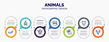 Infographic For Animals Concept. Vector Infographic Template With Icons And 7 Option Or Steps. Included Caterpillar, Crioceris, Palm Tree, Bush, Null, Thunderstorm, Deer For Abstract Background.