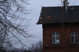 Fototapeta Dmuchawce - Stary Dom