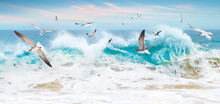 A Flock Of Seagulls Over The Waves. Ocean Storm In Mexico. Baja California Sur.