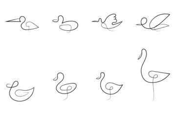 The bird's logo. Drawing birds by hand in one continuous line. Wild birds. Stylized drawing.