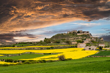 Rapeseed Crop Fields In Bloom During Spring In The Town Of Fores In Catalonia Spain
