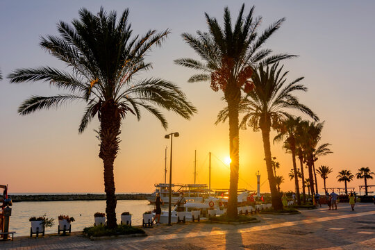 Side promenade with palm trees at sunset, Turkey