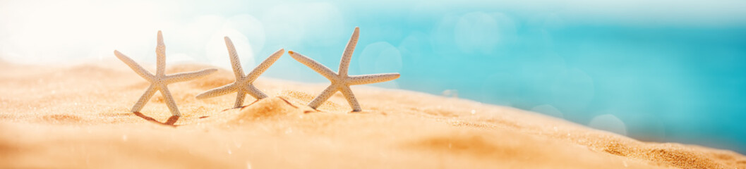 Fototapete - Starfishes on the beach sand in summer