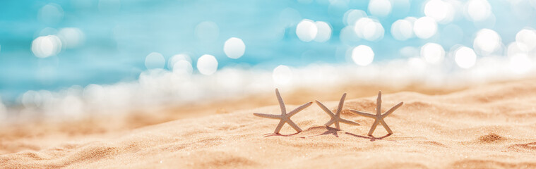 Poster - Starfishes on the beach sand in summer