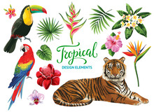Tropical Summer Collection: Exotic Flowers, Leaves, Birds And Animals. Vector Isolated Elements On The White Background.