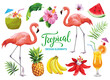 Tropical collection for summer beach party: exotic flowers, leaves, cocktails, flamingos and fruits. Vector design isolated elements on the white background.